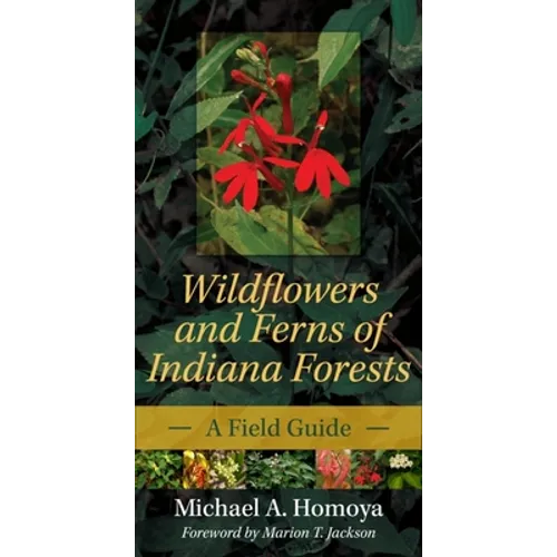 Wildflowers and Ferns of Indiana Forests: A Field Guide - Paperback