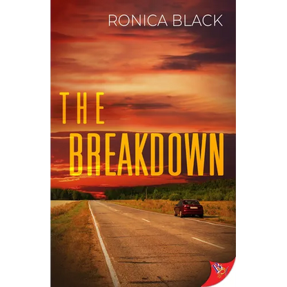 The Breakdown - Paperback