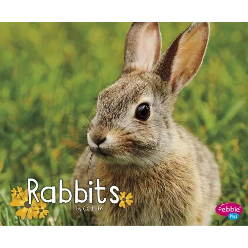 Rabbits - Paperback