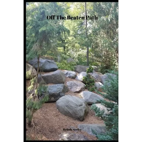 Off The Beaten Path: 4 year Blood Glucose Tracker - Paperback