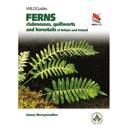 Ferns: Clubmosses, Quillworts and Horsetails of Britain and Ireland - Paperback