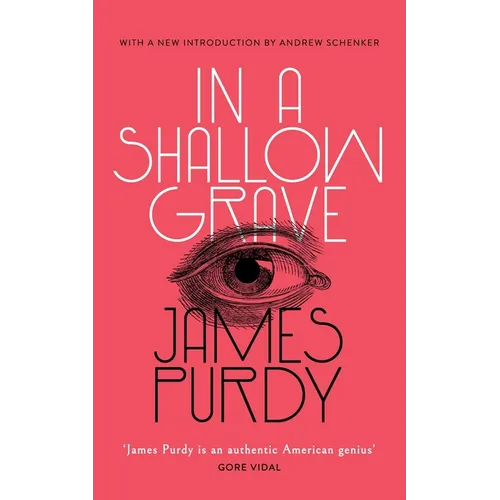 In a Shallow Grave (Valancourt 20th Century Classics) - Paperback
