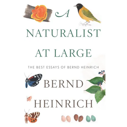 A Naturalist at Large: The Best Essays of Bernd Heinrich - Hardcover