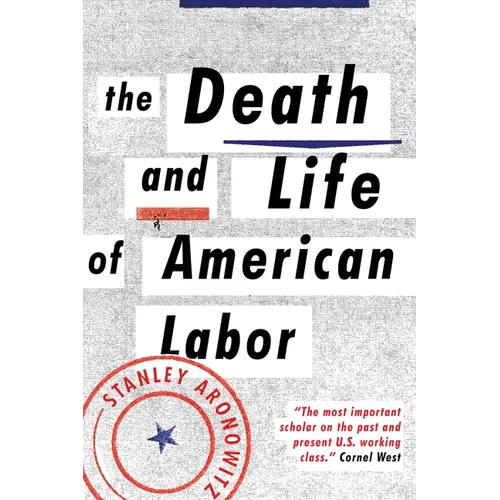 The Death and Life of American Labor: Toward a New Workers' Movement - Paperback