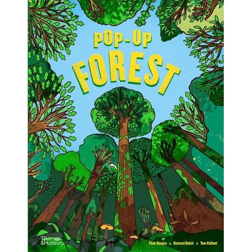 Pop-Up Forest - Hardcover
