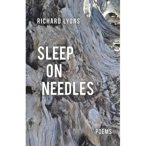 Sleep on Needles - Paperback