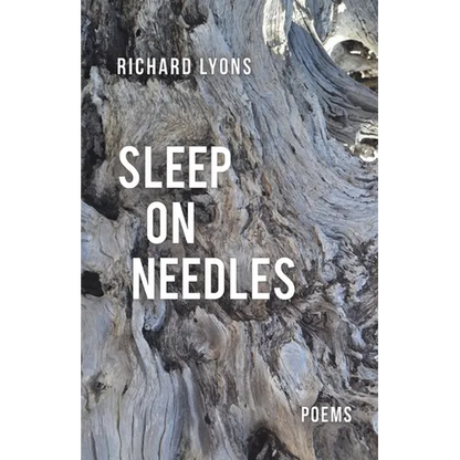 Sleep on Needles - Paperback