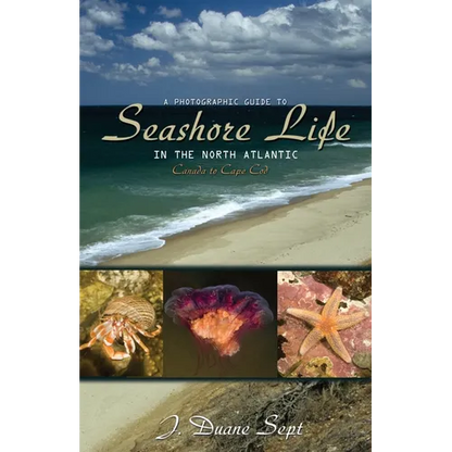 A Photographic Guide to Seashore Life in the North Atlantic: Canada to Cape Cod - Paperback