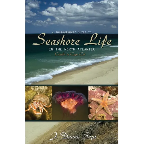 A Photographic Guide to Seashore Life in the North Atlantic: Canada to Cape Cod - Paperback