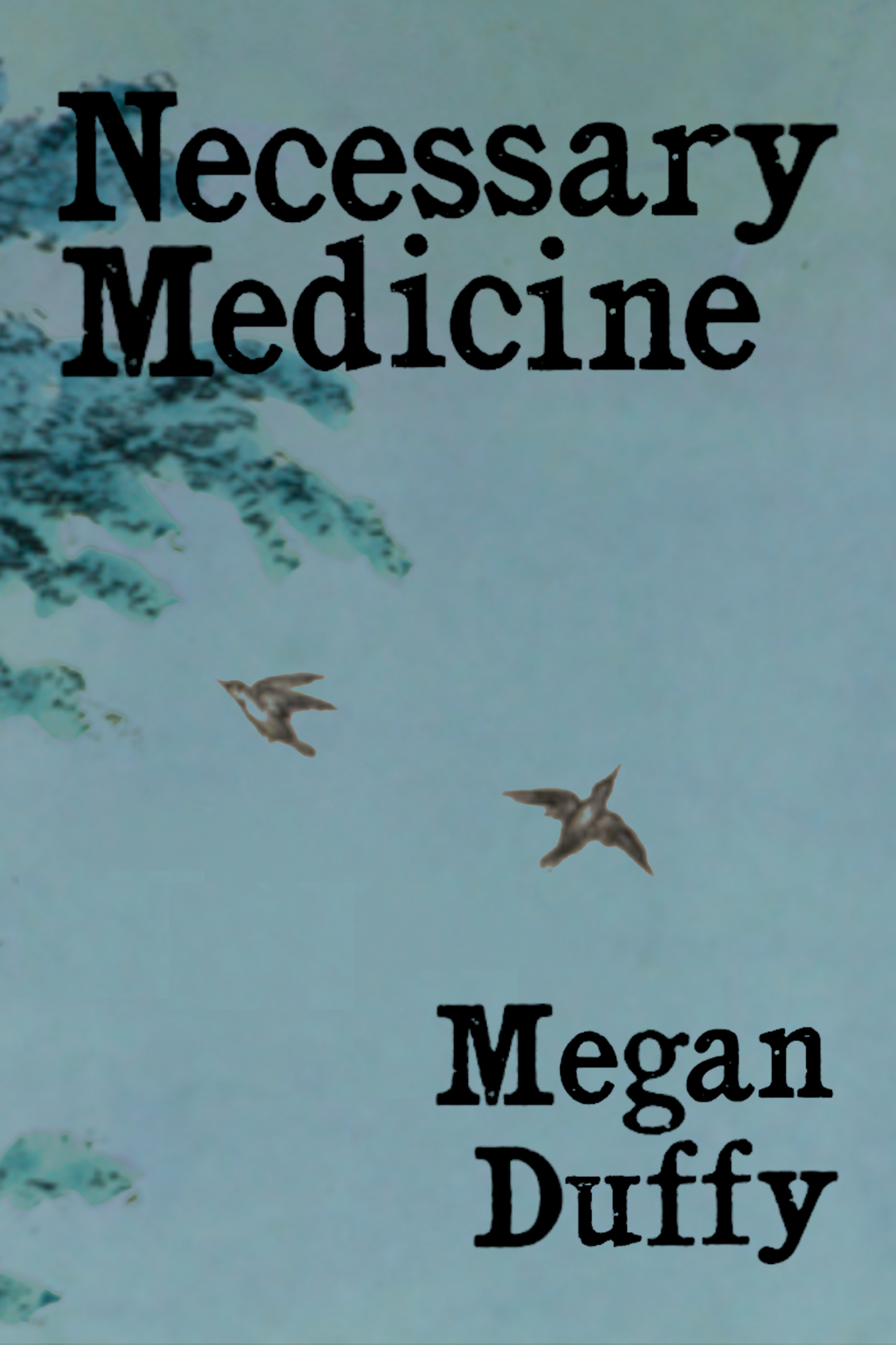 Necessary Medicine, by Megan Duffy