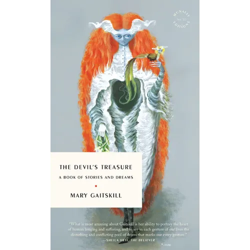 The Devil's Treasure: A Book of Stories and Dreams - Paperback