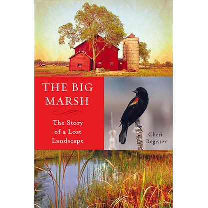 The Big Marsh: The Story of a Lost Landscape - Paperback