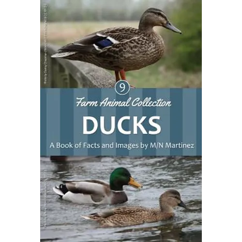 Ducks - Paperback