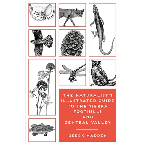 The Naturalist's Illustrated Guide to the Sierra Foothills and Central Valley - Paperback