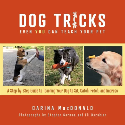 Dog Tricks Even You Can Teach Your Pet: A Step-By-Step Guide to Teaching Your Pet to Sit, Catch, Fetch, and Impress - Paperback