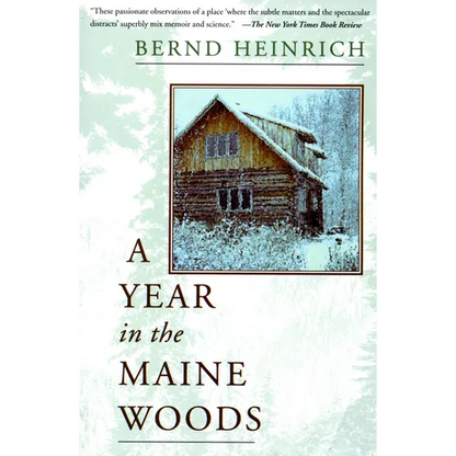A Year in the Maine Woods - Paperback