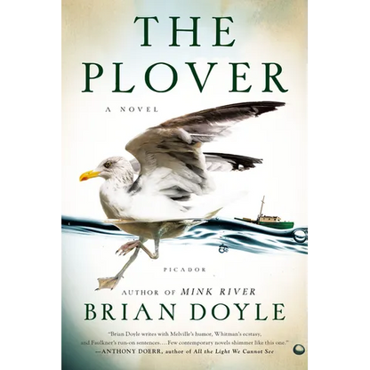 The Plover - Paperback