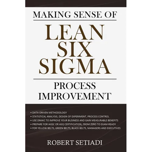 Making Sense of Lean Six Sigma Process Improvement - Paperback