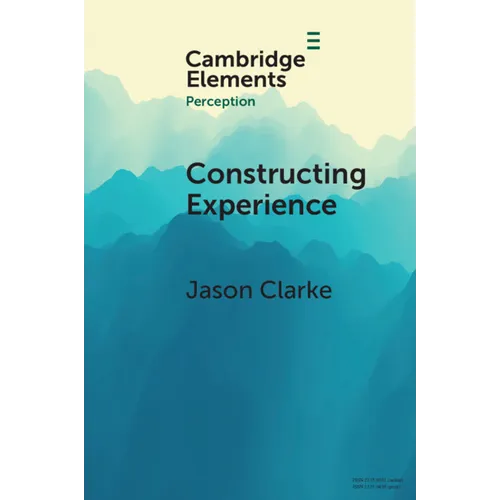 Constructing Experience - Paperback