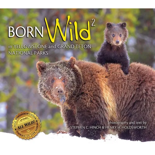 Born Wild 2: In Yellowstone and Grand Teton National Parks - Paperback