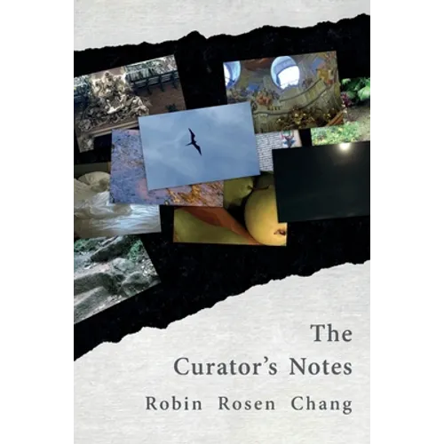 The Curator's Notes - Paperback