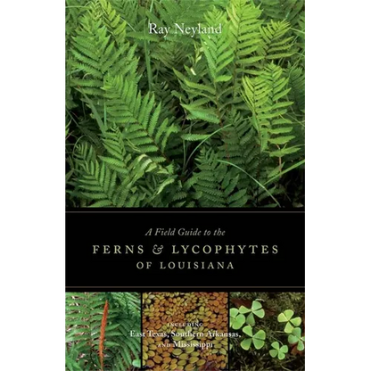 A Field Guide to the Ferns and Lycophytes of Louisiana - Paperback