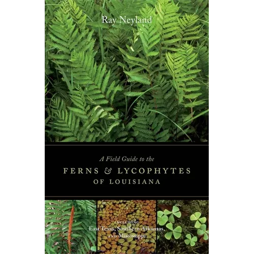 A Field Guide to the Ferns and Lycophytes of Louisiana - Paperback
