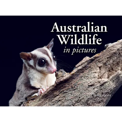 Australian Wildlife in Picture: Celebrating the Unique Nature of the Island Continent, from Kangaroos to Sea Dragons - Paperback