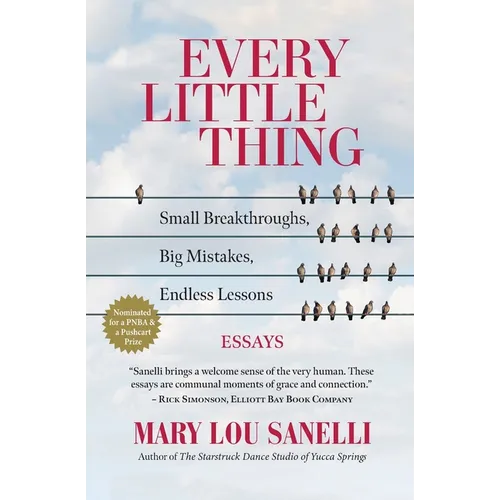 Every Little Thing: Small Breakthroughs, Big Mistakes, Endless Lessons - Paperback