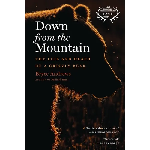 Down from the Mountain: The Life and Death of a Grizzly Bear - Paperback