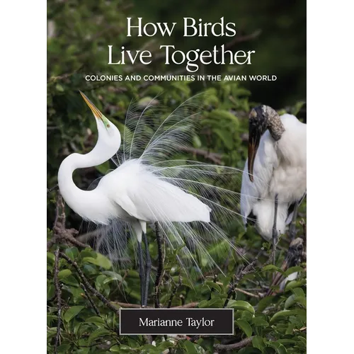 How Birds Live Together: Colonies and Communities in the Avian World - Hardcover