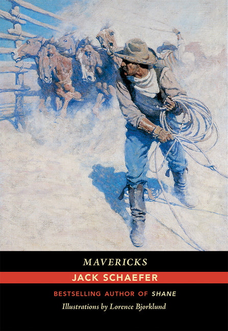 Mavericks - Paperback