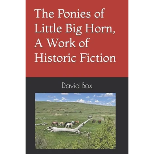 The Ponies of Little Big Horn, A Work of Historic Fiction - Paperback