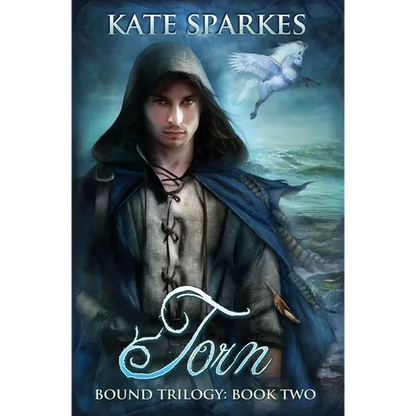 Torn - Paperback