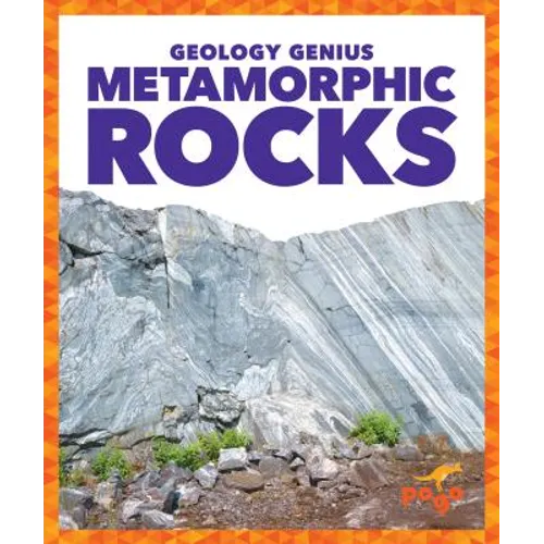 Metamorphic Rocks - Library Binding