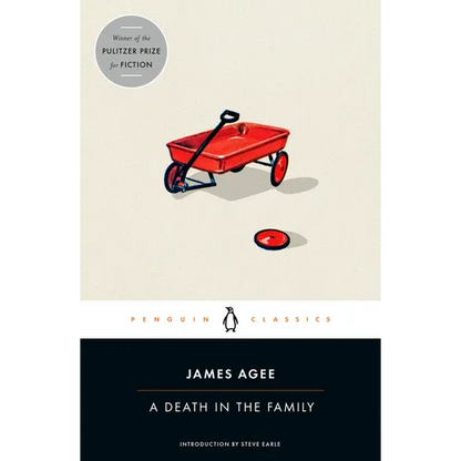 A Death in the Family - Paperback