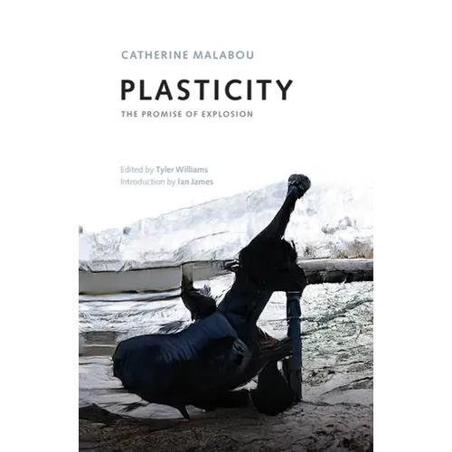 Plasticity: The Promise of Explosion - Paperback