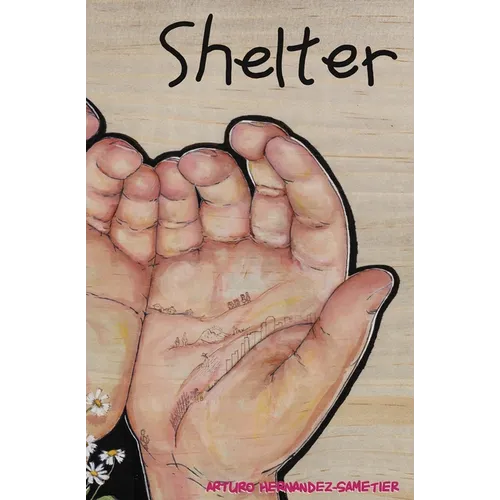 Shelter: Notes from a Detained Migrant Children's Facility - Paperback