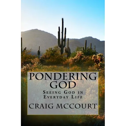 Pondering God: Seeing God in Everyday Life - Paperback