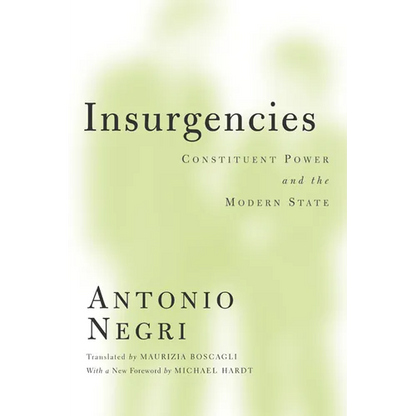 Insurgencies: Constituent Power and the Modern State - Paperback