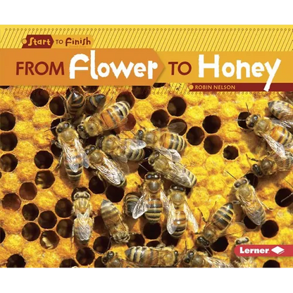 From Flower to Honey - Paperback