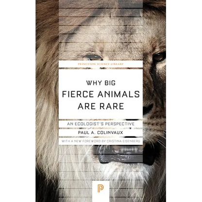 Why Big Fierce Animals Are Rare: An Ecologist's Perspective - Paperback