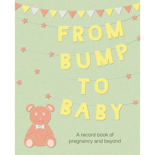 From Bump to Baby: A Record Book of Pregnancy and Beyond - Hardcover