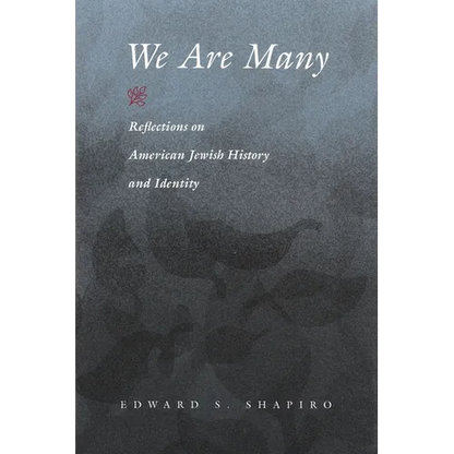 We Are Many: Reflections on American Jewish History and Identity - Paperback