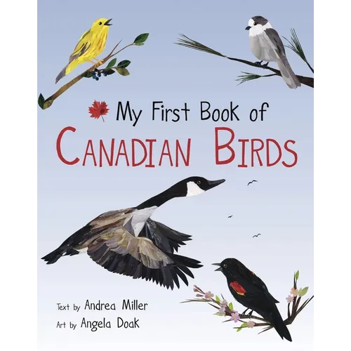 My First Book of Canadian Birds - Paperback