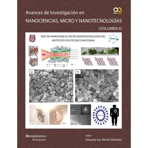 Avances en investigación en Nanociencias, Micro y Nanotecnologías (Vol II) - Paperback