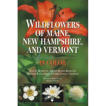 Wildflowers of Maine, New Hampshire, and Vermont - Hardcover