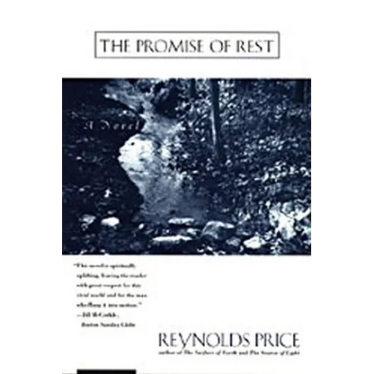 The Promise of Rest - Paperback