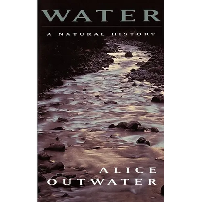 Water: A Natural History - Paperback