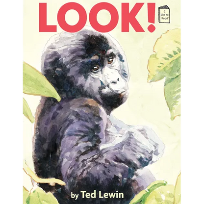 Look! - Paperback